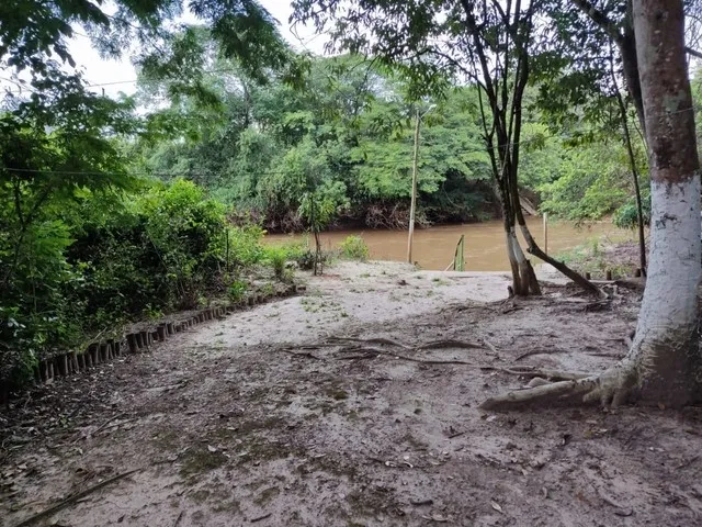 Imagem 16: Sítio Cezarina - Beira Rio dos Bois