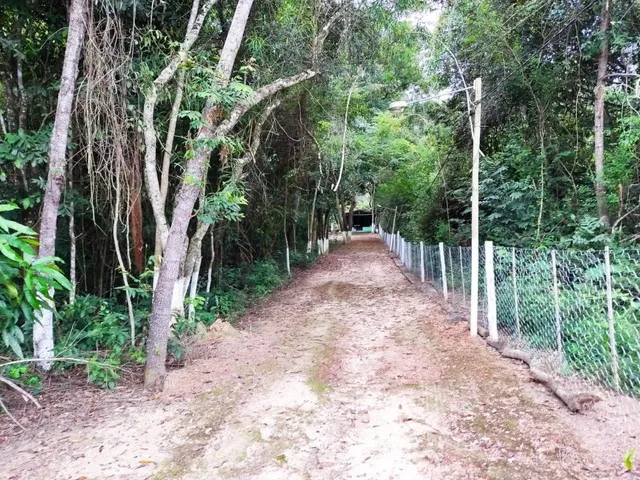 Imagem 6: Sítio Cezarina - Beira Rio dos Bois
