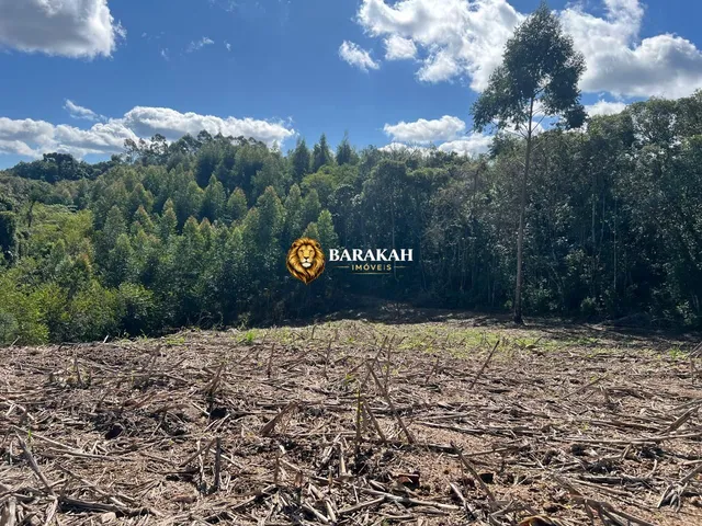 Imagem 8: Chácara à venda no bairro Pinhal Alto - Nova Petrópolis/RS