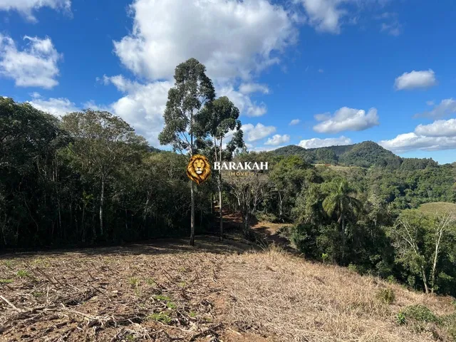 Imagem 10: Chácara à venda no bairro Pinhal Alto - Nova Petrópolis/RS
