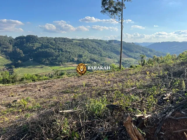 Imagem 12: Chácara à venda no bairro Pinhal Alto - Nova Petrópolis/RS
