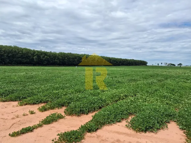 Imagem: Oportunidade Única Sitio à Venda em Tanabi-SP