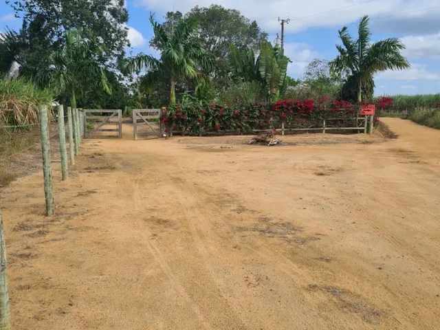 Imagem: OPORTUNIDADE ÚNICA! TERRA PRODUTIVA À