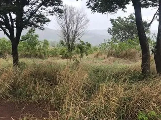 Imagem: Chácara com Área de 1500 M² em Mateus