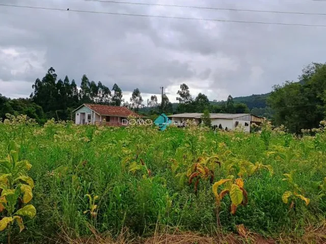 Imagem 3: CHÁCARA A VENDA NO INTERIOR DA CIDADE DE IRINEÓPOLIS