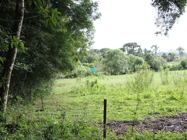 Imagem 4: TERRENO COM CASA A VENDA NO CENTRO DA CIDADE DE IRINEÓPOLIS