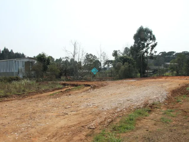 Imagem 4: LOTE URBANO A VENDA EM IRINEÓPOLIS