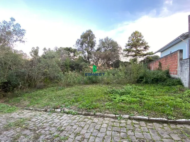 Imagem: TERRENO CENTENÁRIO