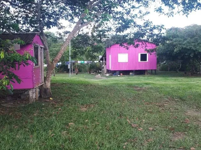 Imagem: Chácara por 50 Mil