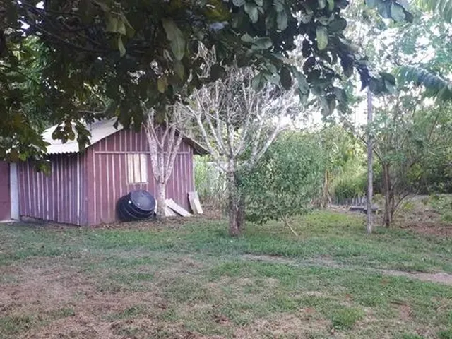 Imagem 2: Chácara por 50 Mil