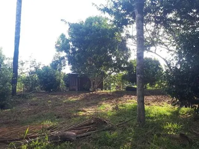 Imagem 5: Chácara por 50 Mil