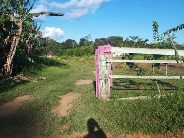 Imagem 3: Chácara por 50 Mil
