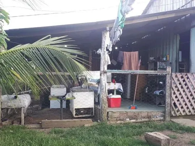 Imagem 7: Chácara por 50 Mil
