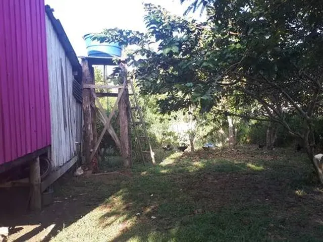 Imagem 8: Chácara por 50 Mil