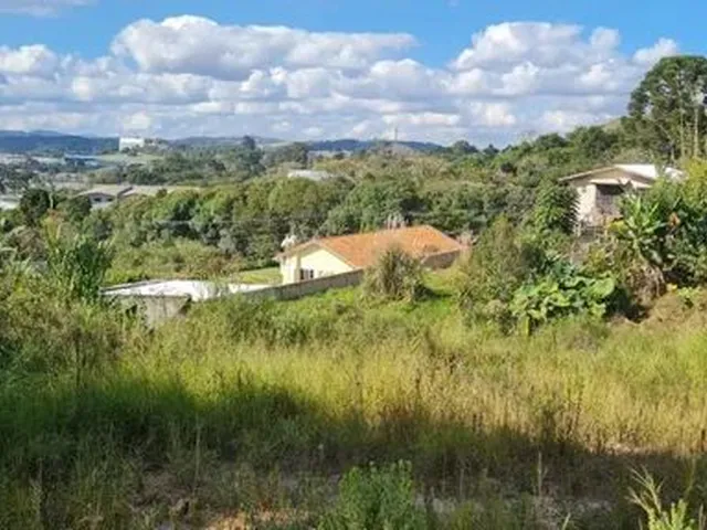 Imagem 3: Terreno para Venda em Campo Magro, Centro