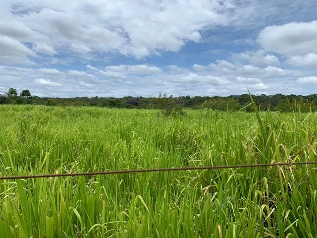 Imagem: Fazenda a Venda no Sul do Piauí