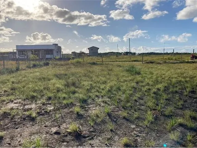 Imagem: Terreno É Ideal para Quem Deseja Construir