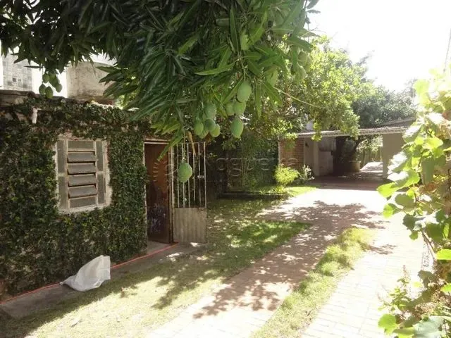 Imagem 2: Pvs - Vendo na Soledade - Casa Térrea, 7 Quartos - 112M² - Excelente para Comercio