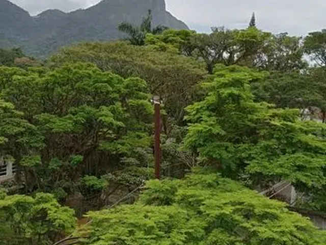 Imagem 3: Gávea Rep House, Republica