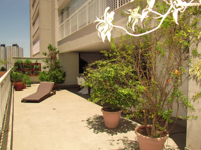 Imagem: Apartamento À Vista em Campo Belo com 220M²