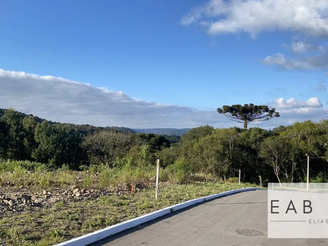 Imagem: Terreno em final de rua em Gramado