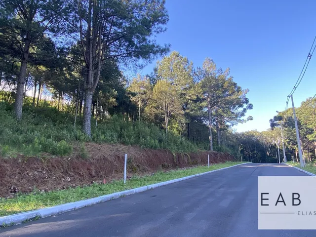 Imagem: Terreno em novo Loteamento em Gramado