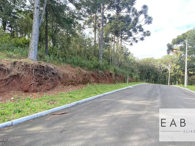 Imagem 3: Terreno em novo Loteamento em Gramado