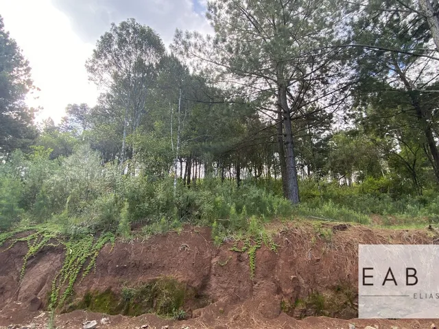 Imagem 4: Terreno em novo Loteamento em Gramado