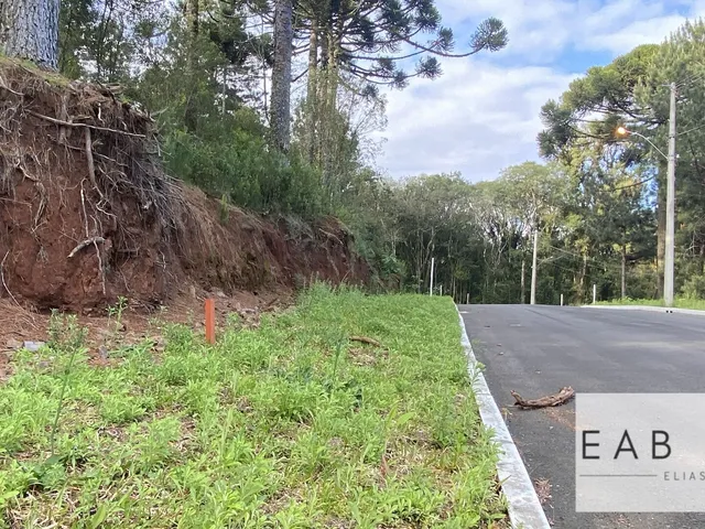 Imagem 2: Terreno em novo Loteamento em Gramado