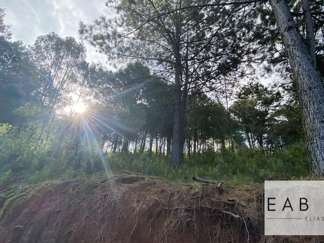 Imagem 5: Terreno em novo Loteamento em Gramado