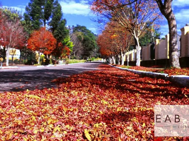 Imagem 2: Apartamento no Centro de Gramado