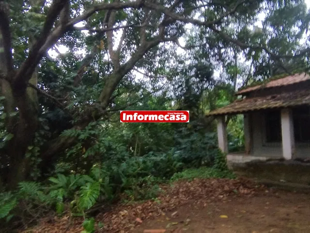 Imagem 5: SITIO COM 70 MIL M² COM RGI PERTO DO ARCO METROPOLITANO, BAIRRO PEDRA LISA EM JAPERI