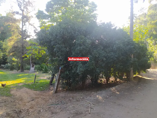 Imagem 10: SITIO COM 70 MIL M² COM RGI PERTO DO ARCO METROPOLITANO, BAIRRO PEDRA LISA EM JAPERI