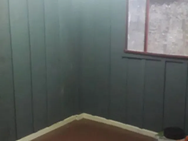 Imagem: Casa pra Alugar