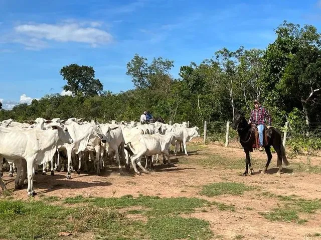 Imagem: Arrendo Fazenda