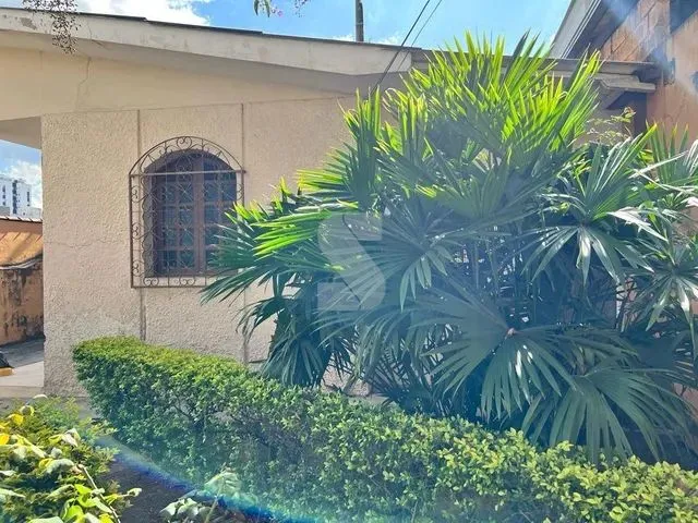Imagem 11: Casa Linear 4 Quartos no Bairro Glória
