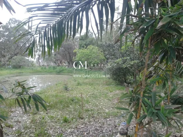 Imagem 1: Sítio com 1 Ha a Venda na Itapeva, em Torres/Rs