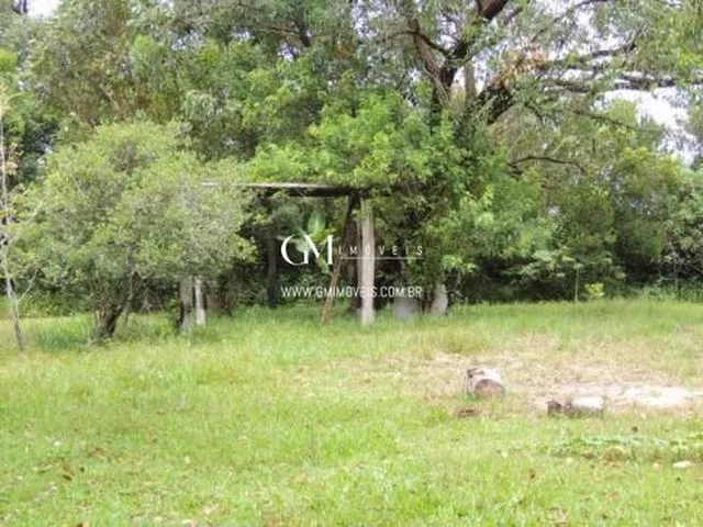 Imagem 3: Sítio com 1 Ha a Venda na Itapeva, em Torres/Rs