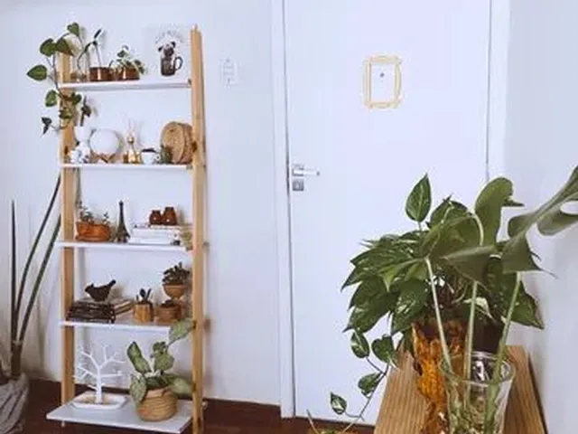 Imagem 4: Quarto Dependência | Boa Vista
