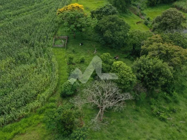 Imagem 6: Chácara com 2 Dormitórios À Venda,6.50 M , Centro, santa Helena - Pr