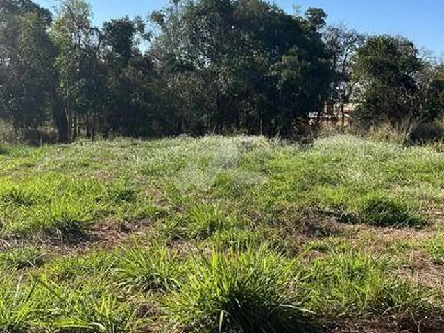 Imagem 2: Terreno à venda,600.00 m , Tocantins, TOLEDO - PR