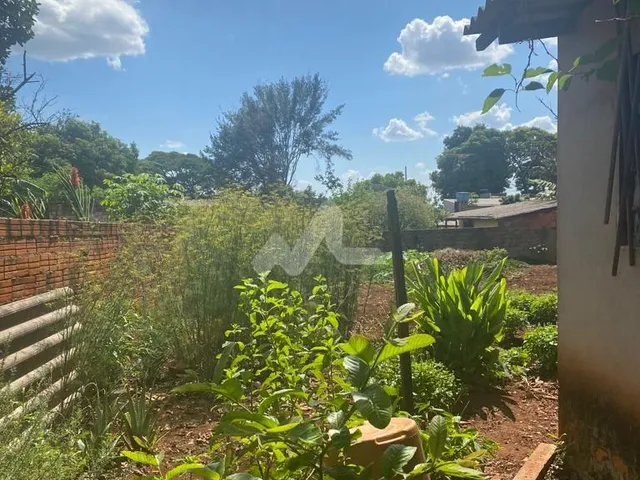 Imagem 2: Casa com 3 dormitórios à venda,750.00 m , Vila Industrial, TOLEDO - PR