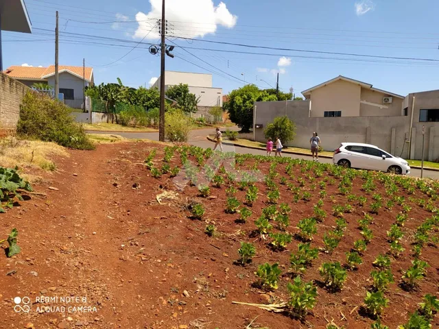 Imagem 2: Terreno à venda,346.30 m , Centro, OURO VERDE DO OESTE - PR