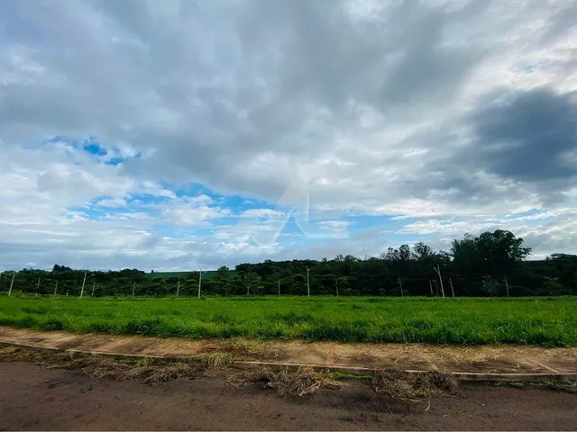 Imagem: Terreno à venda,250.00 m, Jardim Coopagro