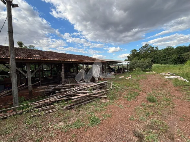 Imagem 7: Chácara com 3 dormitórios à venda,22800.00 m , Jardim Coopagro, TOLEDO - PR