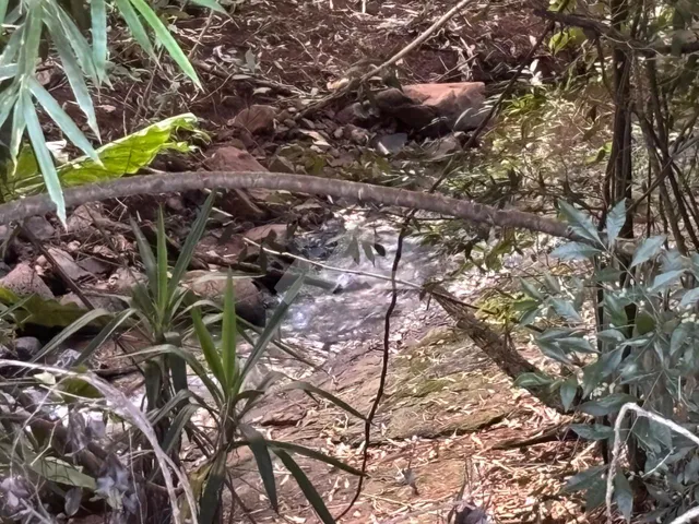 Imagem 1: Chácara com 3 dormitórios à venda,22800.00 m , Jardim Coopagro, TOLEDO - PR