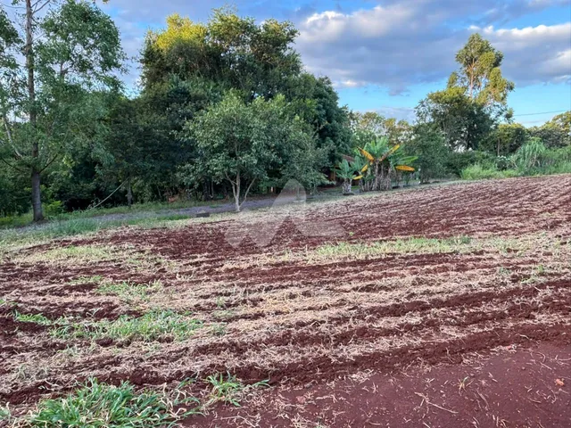 Imagem 2: Chácara com 3 dormitórios à venda,22800.00 m , Jardim Coopagro, TOLEDO - PR
