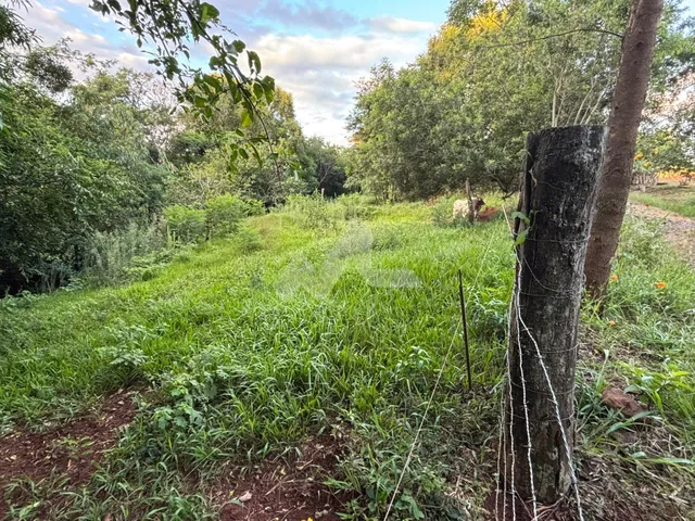 Imagem 3: Chácara com 3 dormitórios à venda,22800.00 m , Jardim Coopagro, TOLEDO - PR