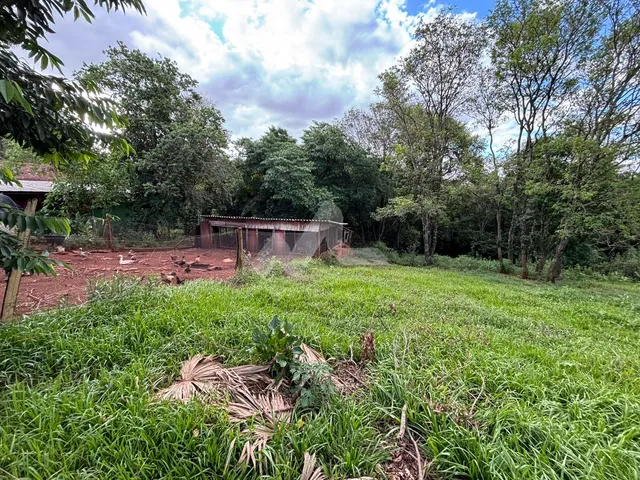 Imagem 5: Chácara com 3 dormitórios à venda,22800.00 m , Jardim Coopagro, TOLEDO - PR