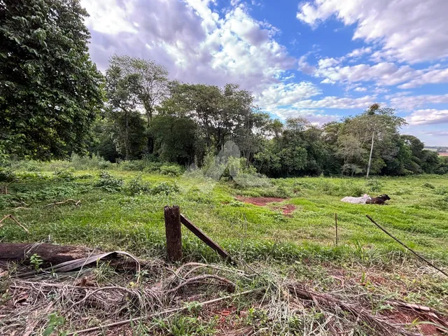 Imagem 8: Chácara com 3 dormitórios à venda,22800.00 m , Jardim Coopagro, TOLEDO - PR